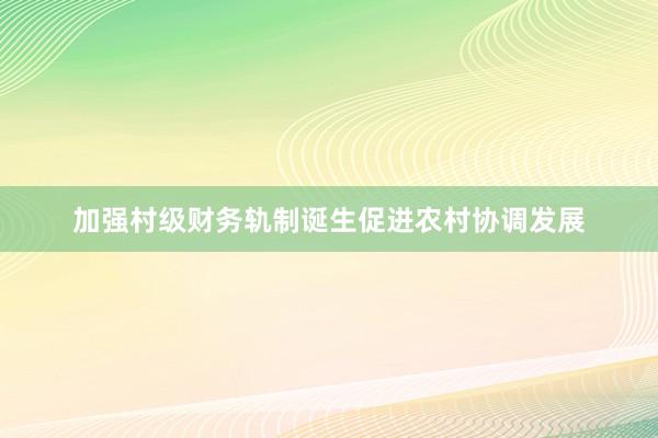 加强村级财务轨制诞生促进农村协调发展